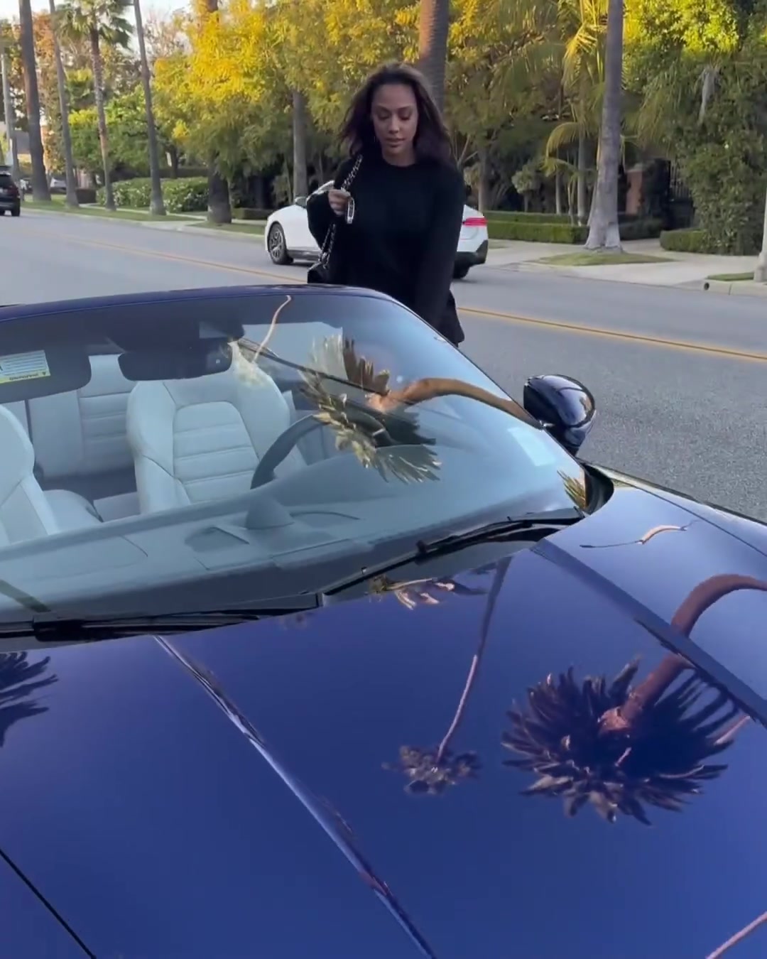 美女配豪车杰伦-布朗